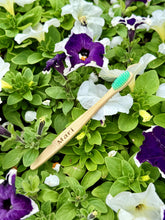 Load image into Gallery viewer, UUS! Nimeline bambushambahari - Biokink