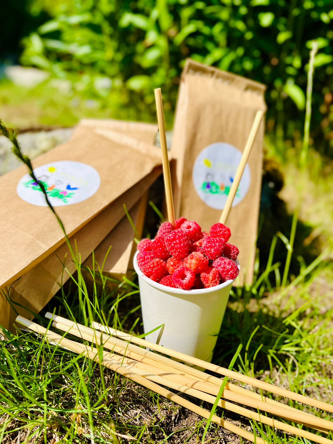 biilagunevad joogikõrred_nisukõrred_wheat straws